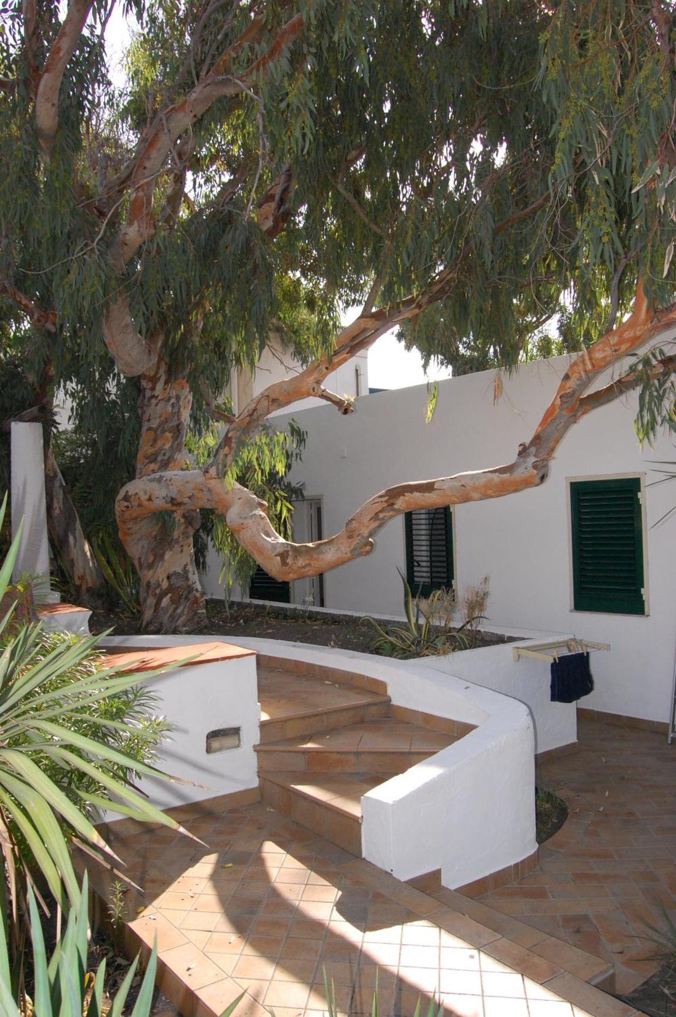Hotel Conti Vulcano  Exterior foto